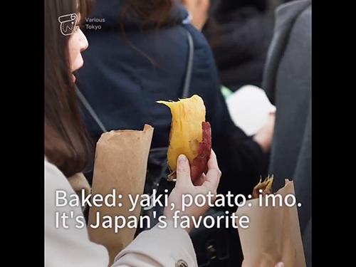 動画制作を強化する