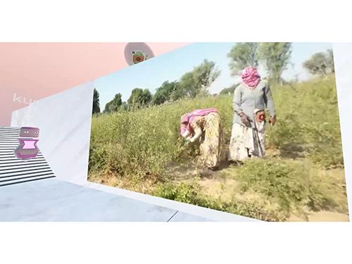 ヘナ畑のイメージ写真が店内に飾られている