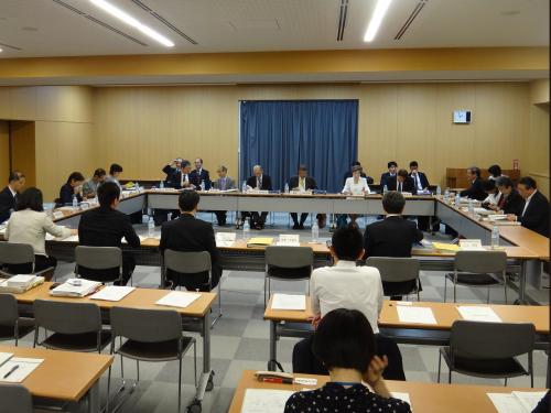 検討会の議論について「健康食品業界は劣勢」との声も