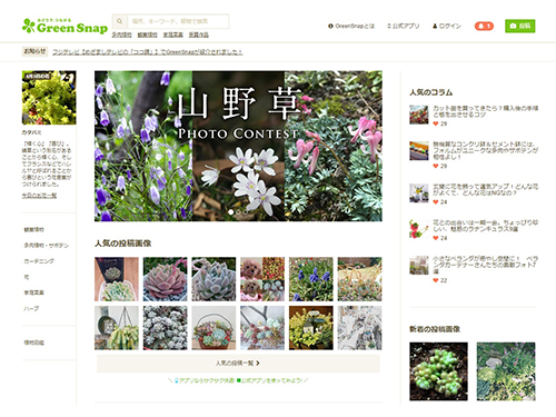 植物に特化したＳＮＳ「グリーンスナップ