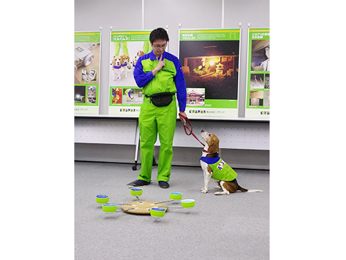 シロアリ探知犬のトレーニングのようす