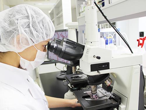 バイオジェノミクスの研究開発のようす