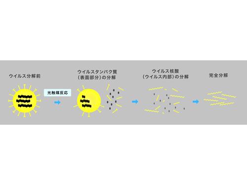 ウイルス分解のイメージ