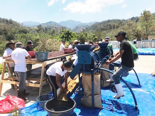 ドライ・バイシクル・パルピングによる脱穀