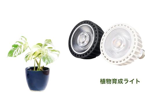 室内でも手軽に観葉植物の栽培が可能に