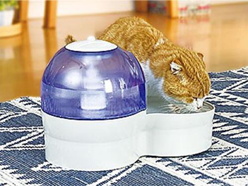 ペット用の水素自動給水器「アクアリメールペット」