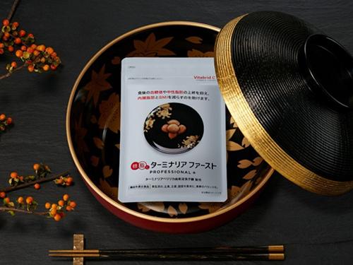 「ターミナリア　ファースト　プロフェッショナル」