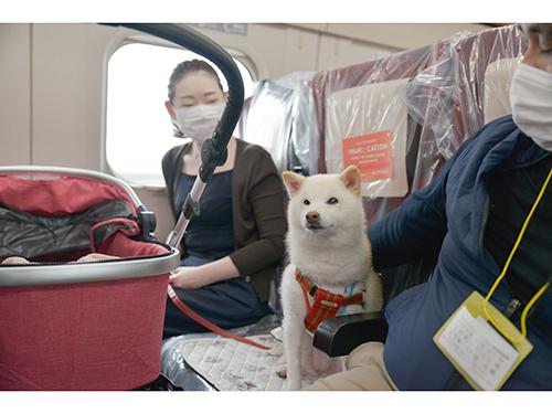 ペットと新幹線で旅行