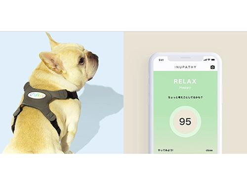 心拍変動解析から、愛犬の状態を可視化できる「イヌパシー」