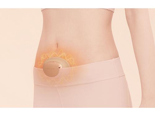 「ルルドボーテ　フェムオンテック　温プレートＥＭＳ」