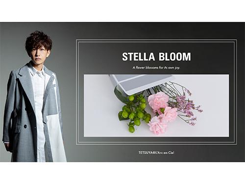 ＴＥＴＳＵＹＡとコラボレーション