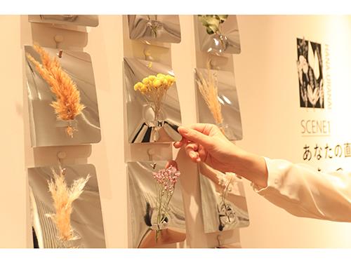 壁にかけられたドライフラワーから気になったものを選ぶ