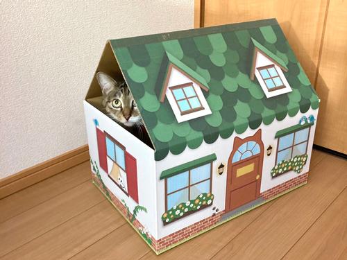 「三角屋根の猫の家」