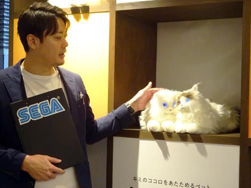 国内事業本部　ハイターゲットマーケティング部　部長　新田翔次郎氏