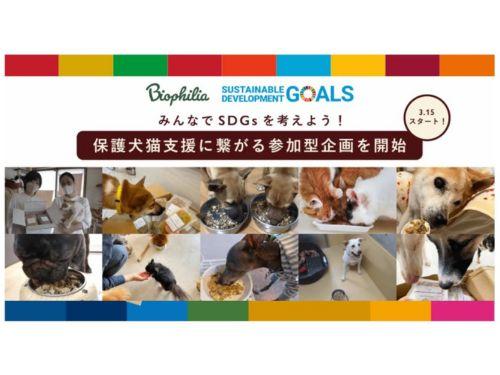 保護犬猫支援に繋がる参加型企画を開始