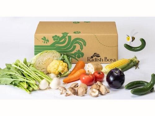 旬の野菜サブスクサービス「めぐる野菜箱」