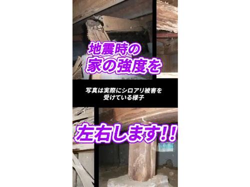 アサンテのウェブ広告