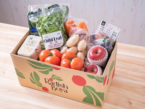 「北海道産ふぞろい小玉ねぎ入りふぞろい食材おためしセット」