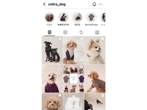 「COTIRA」のインスタグラム