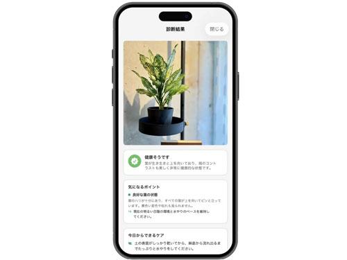 葉の写真を送信するとAIが状態を判断