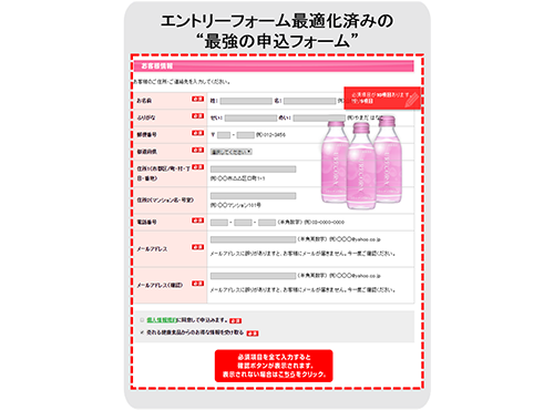 九つのテクニックを駆使した”最強”のエントリーフォームの例